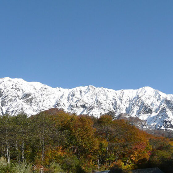 Enjoy Scenery of Japan's four seasons in Glamp House DAISEN